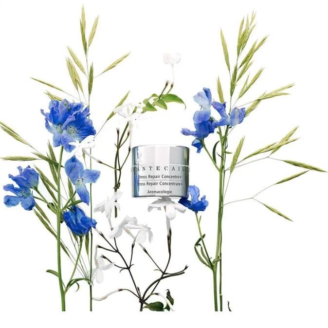 Stress Repair Concentrate Plus 4 Stress Repair Concentrate Plus - Image 2