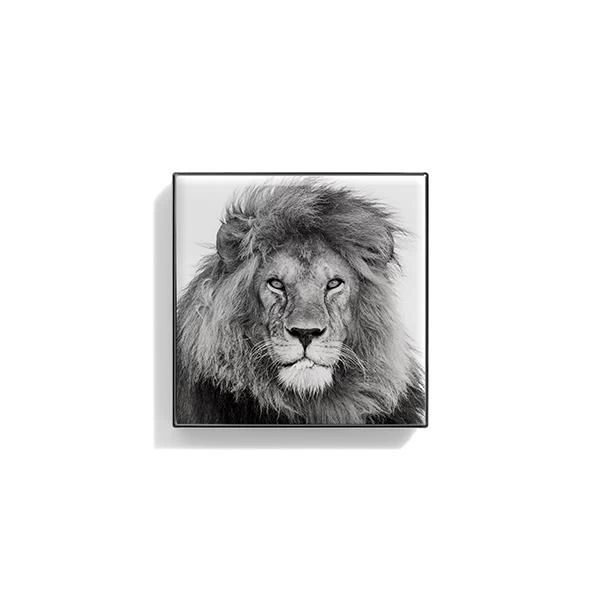 Luminescent Eye Shade - Lion 4 Luminescent Eye Shade - Lion - Image 2