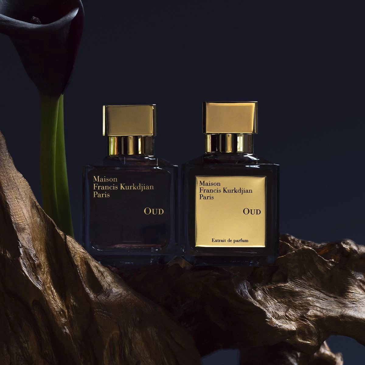 Oud Extrait De Parfum 70ml 6 Oud Extrait De Parfum 70ml - Image 4