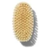 Dr. Barbara Sturm Anti-Cellulite Body Brush - Medium (2) 1 Dr. Barbara Sturm Anti-Cellulite Body Brush - Medium (2) -Beauty Personal Care sturm dry brush 2 01